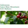 Kép 1/2 - Indonesia Gayo Blue Mountain Pörkölt kávé 125g-KS