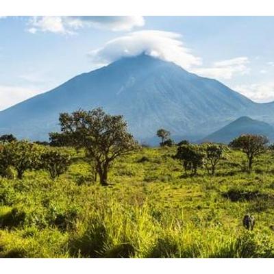 Congo Rutshuru Blue Mountain Pörkölt Kávé 500g-KV