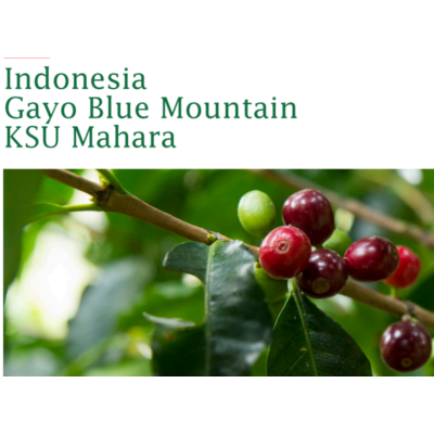 Indonesia Gayo Blue Mountain Pörkölt kávé 500g-KS