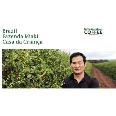 Brazil Fazenda Miaki Yellow Bourbon Pörkölt kávé 1000g-KS-04.18