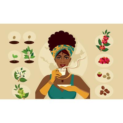 AVX Tanzania Blend Pörkölt Kávé 250g-KS