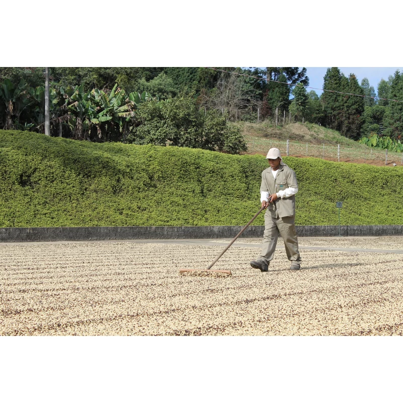 Brazil Fazenda da Lagoa Specialty 84p Pörkölt kávé 250g-KS