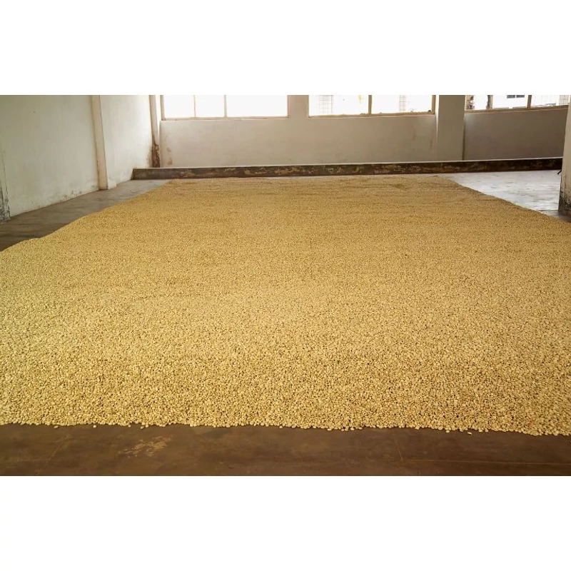 India Robusta Monsooned Mabar AA Nyerskávé 1000 g