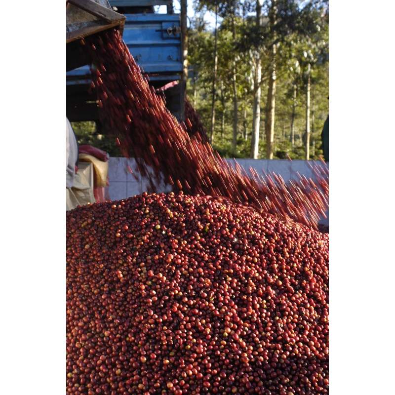 Nicaragua SHB EP Jinotega Matagalpa Specialty-85p Pörkölt kávé 125g-KS