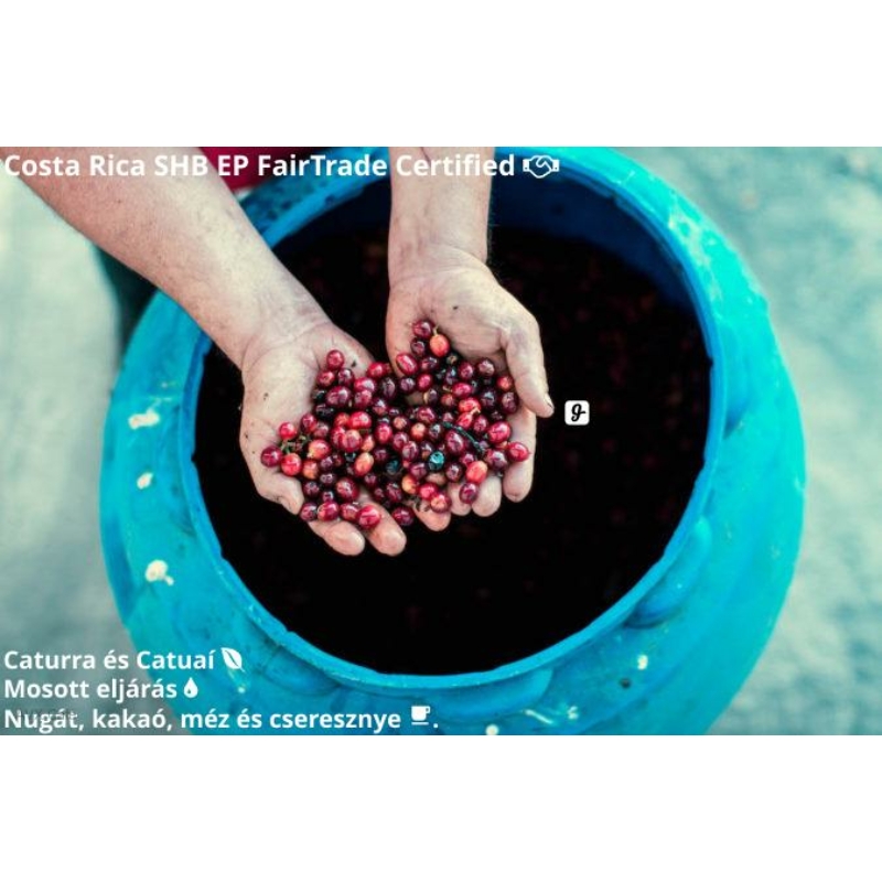 Costa Rica Fair Trade 82p Pörkölt Kávé 125g-KS