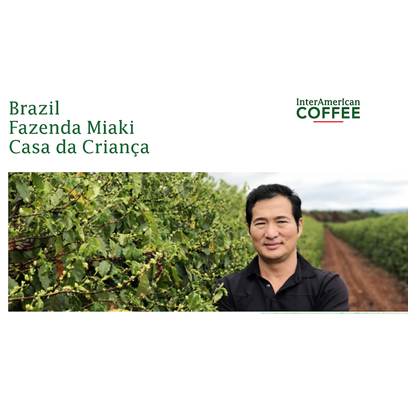 Brazil Fazenda Miaki Yellow Bourbon Pörkölt kávé 500g-KS