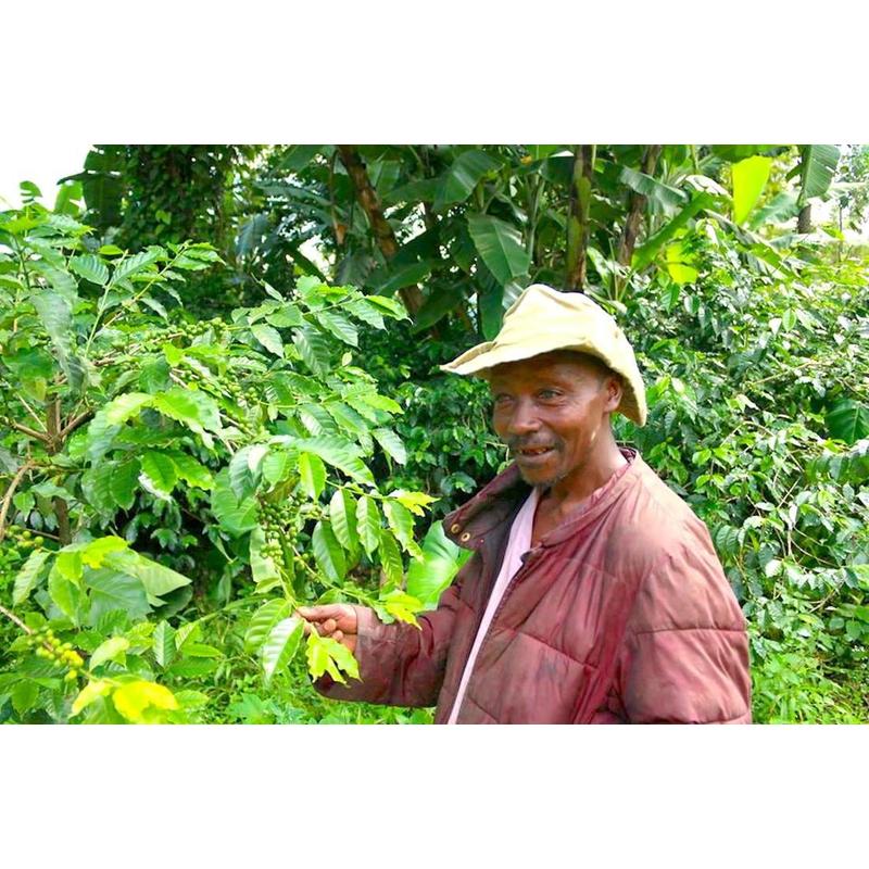 Tanzania Ngila Estate Pacamara Specialty 88p Pörkölt kávé 250g-V