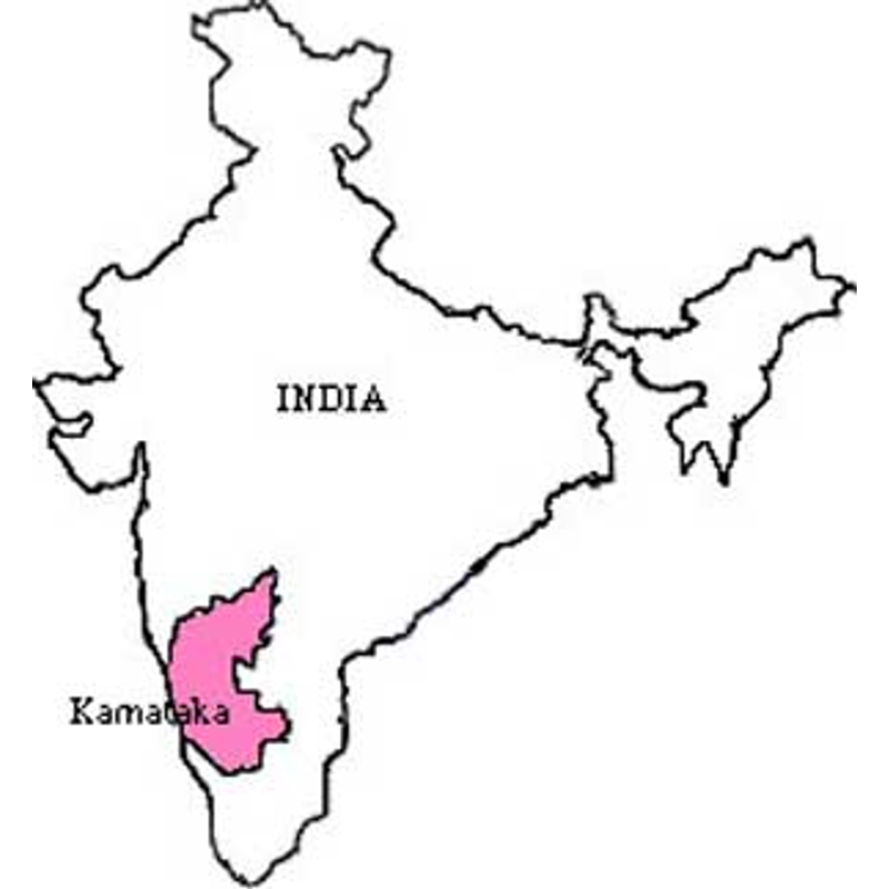 India Plantation AA Pörkölt Kávé 10*1000g-KS - Előrendelés!